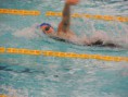 /album/trofeo-nico-sapio-2014/sapio-2a00058-jpg/